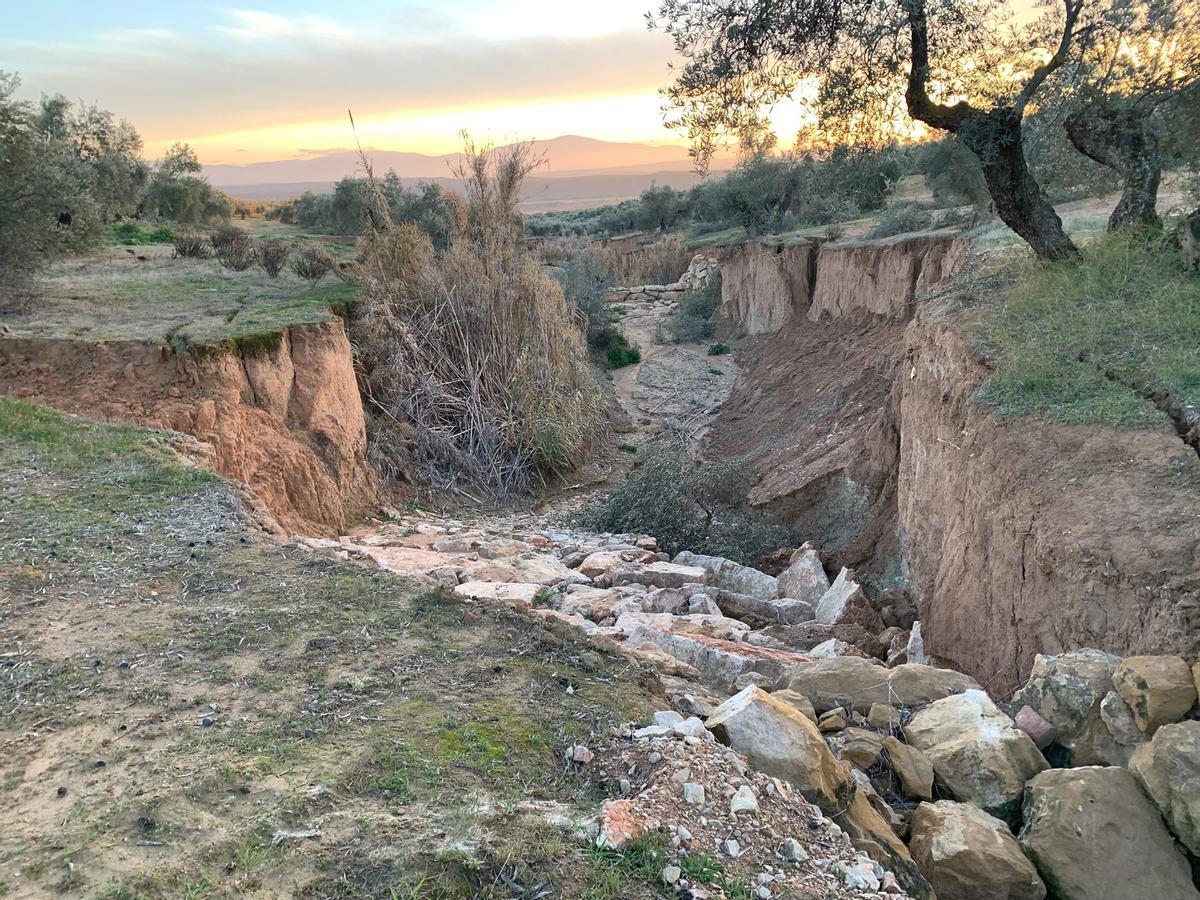 Cárcava excavada por el agua de las tormentas en el campo andaluz