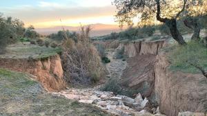 Cárcava excavada por el agua de las tormentas en el campo andaluz