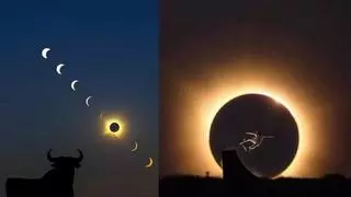 Del toro oscurecido al truco de skate de Danny León: estas son las imágenes más sorprendentes y virales que ha dejado el eclipse