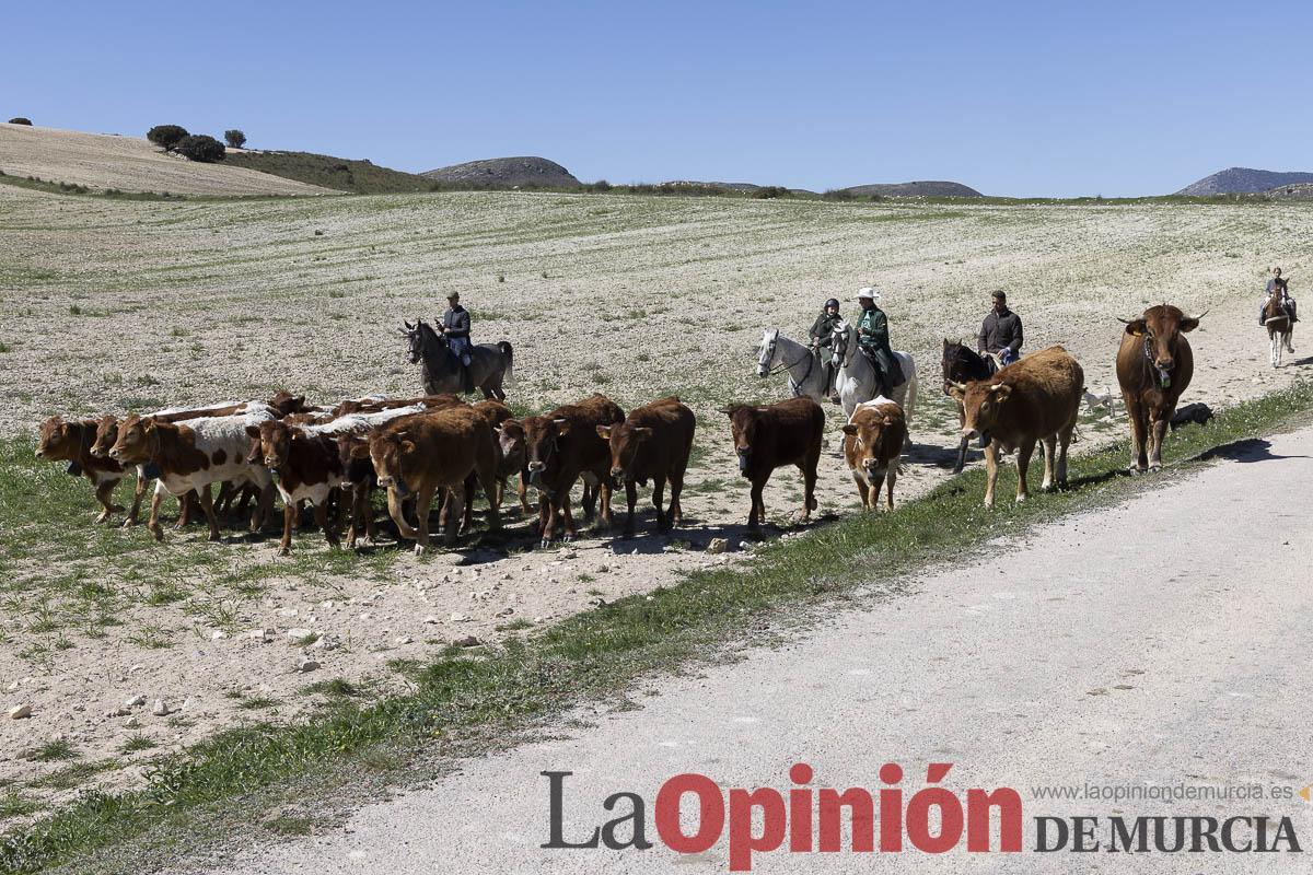 trashumancia/Ganadería La Junquera_007