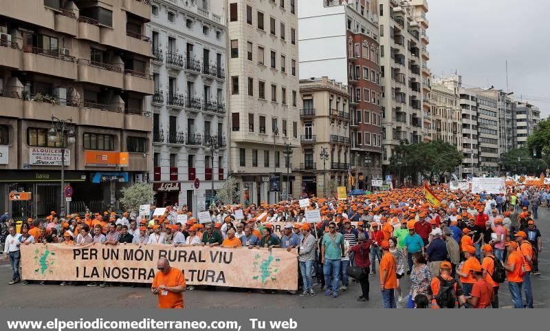 Búscate en la manifestación en defensa del mundo rural