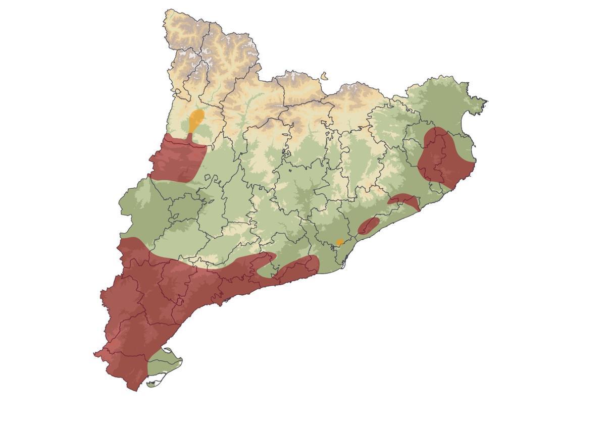 Mapa de distribución de la 'Zamenis scalaris' en Catalunya.