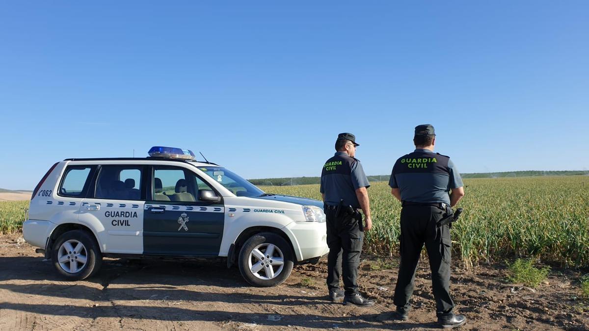 La detención se ha registrado dentro del marco de los servicios que viene desarrollando la Guardia Civil en la provincia en relación con el plan de lucha contra los robos y hurtos en explotaciones agrícolas y ganaderas.