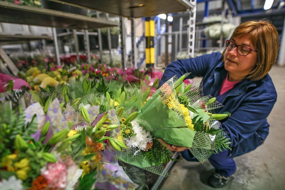 Un millón y medio de flores para el recuerdo