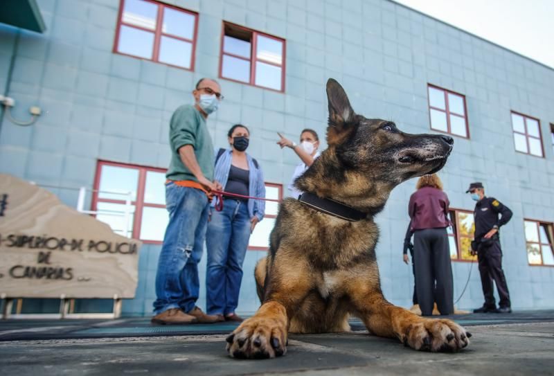 La Policía Nacional entrega en adopción a “Basco”