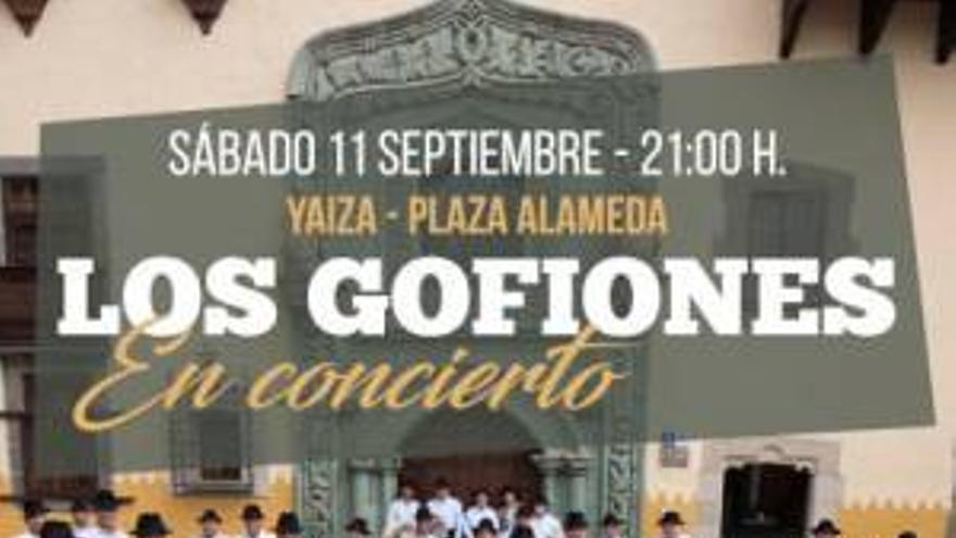 Los Gofiones