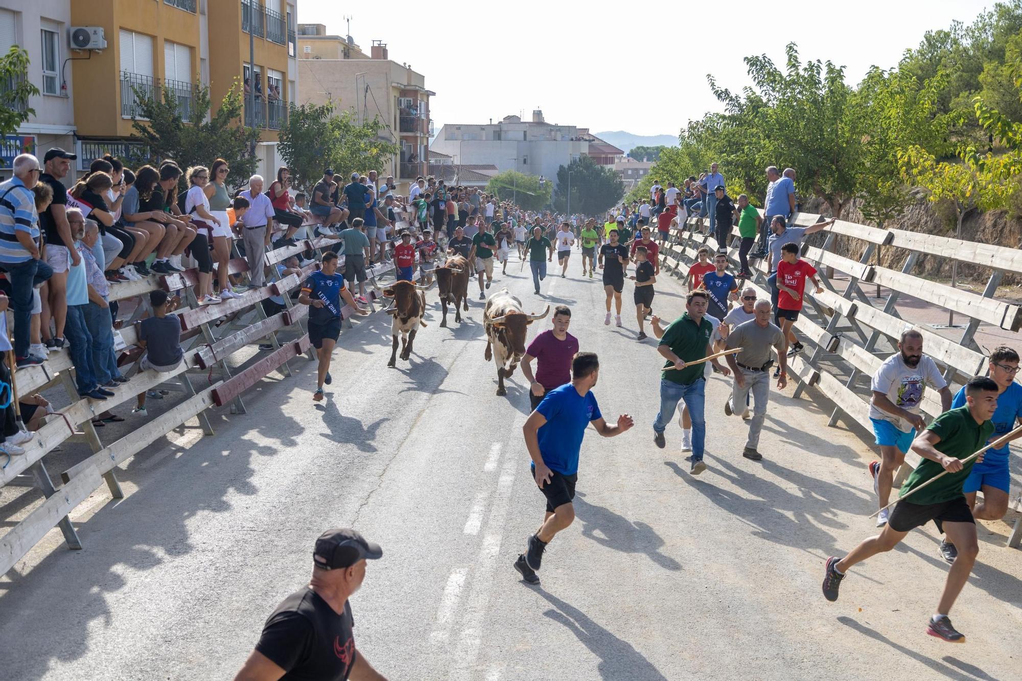 Cuarto encierro de la Feria Taurina del Arroz en Calasparra