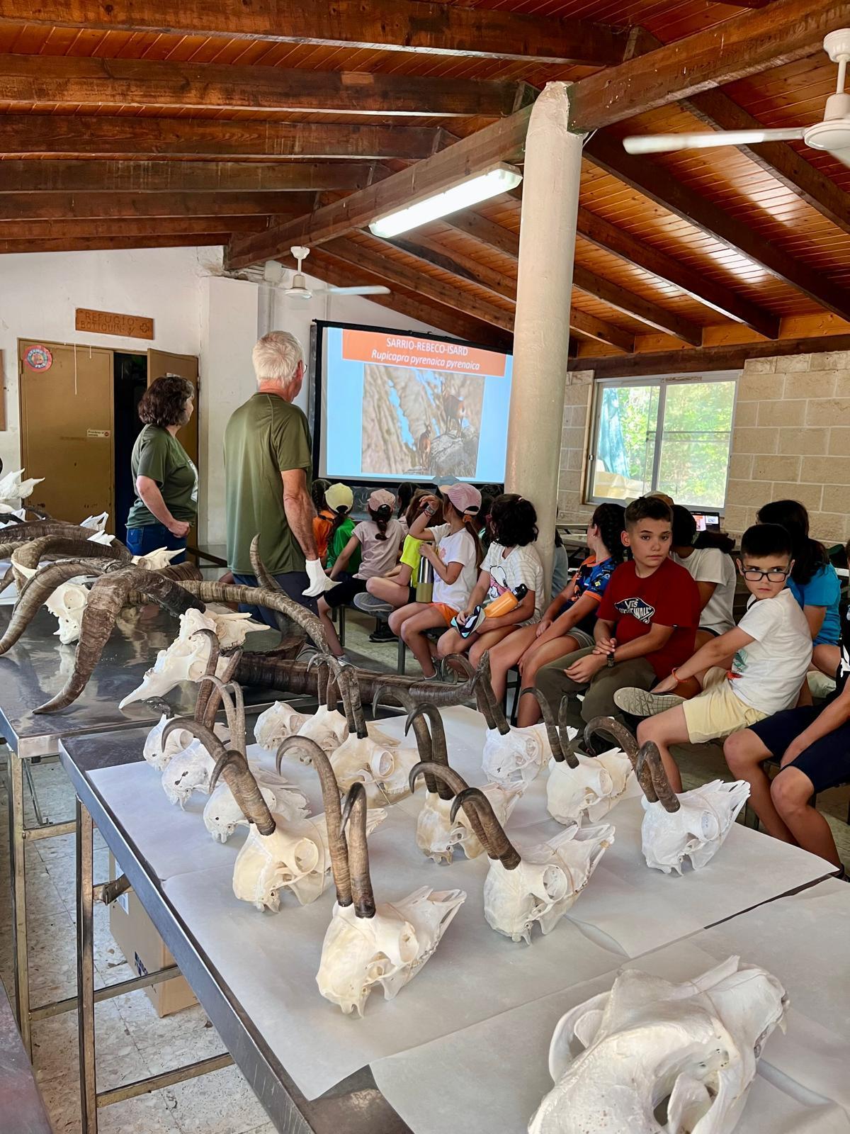 Durante diez días, el campamento impulsado por Farcaza ha acercado la naturaleza y la conservación a niños y jóvenes.