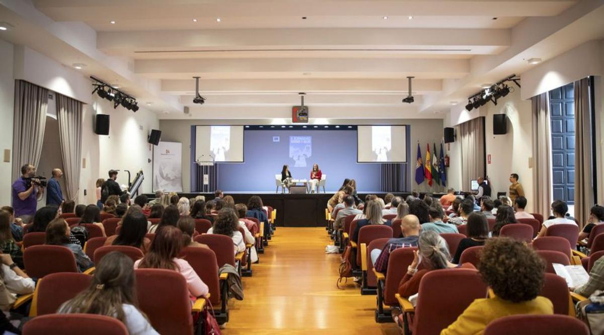 Salón de actos de la Diputación Provincial durante las jornadas.