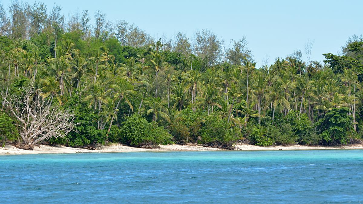 Fiji conserva esa imagen de isla remota del Pacífico que el cine convirtió en paraíso perdido con El lago azul, rodada en las islas Yasawa entre aguas transparentes y playas de arena blanca.