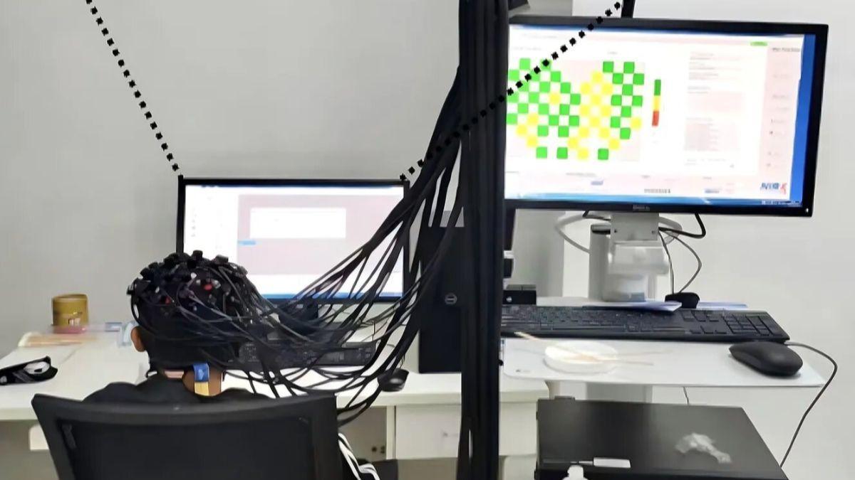 Los investigadores buscaron medir la memoria de trabajo: los participantes usaron una gorra funcional de espectroscopia de infrarrojo cercano (fNIRS), para rastrear el flujo sanguíneo en la corteza prefrontal mientras completaban una tarea.