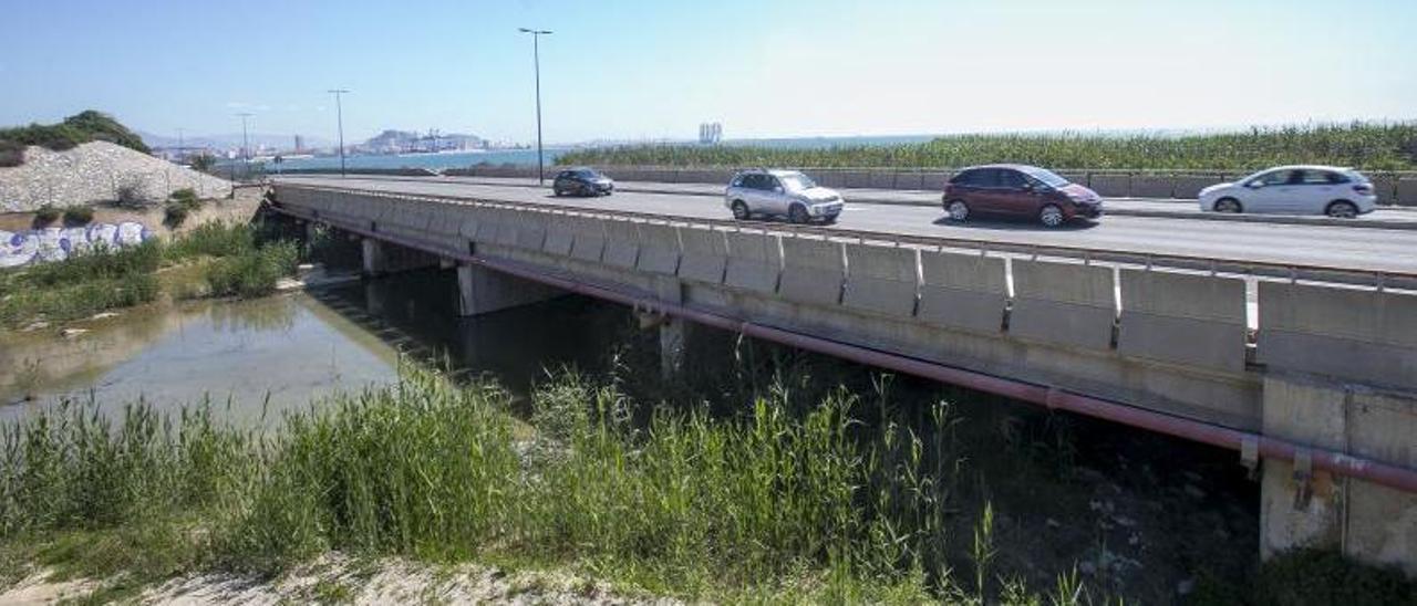 Cañas junto al puente de por donde pasa la avenida de Elche, desembocadura del barranco.  | HÉCTOR FUENTES