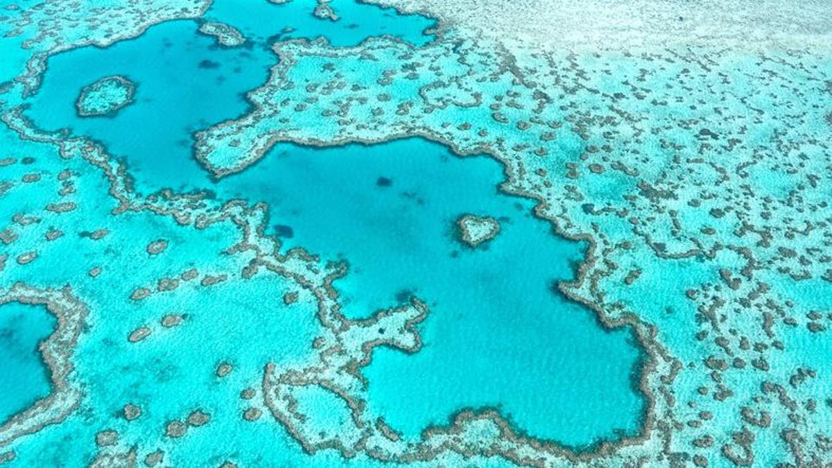 Imagen aerea de la gran barrera de coral