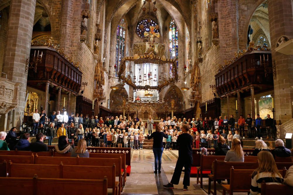 Ensayo general del concierto de Santa Lucía en la Catedral