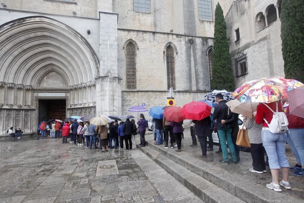 La pluja no desanima l'afluència de públic a «Temps de Flors»