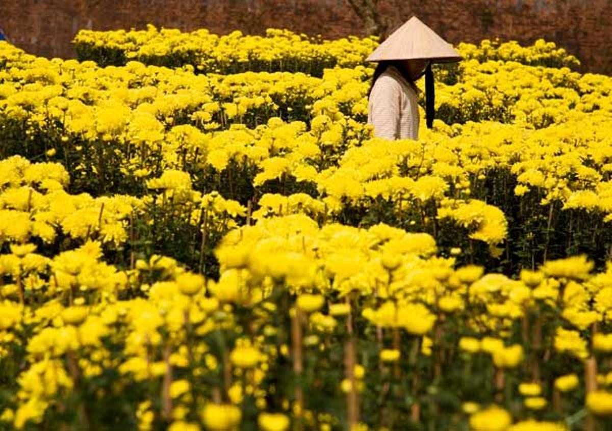 Vietnam destaca por su diversidad étnica y cultural, con 54 etnias diferentes