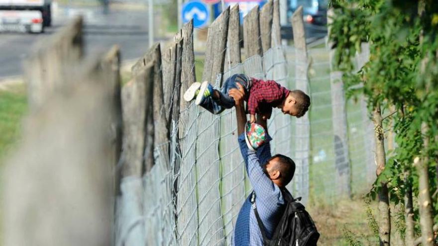 Egoísmo y altruismo, una tensión que modela el comportamiento