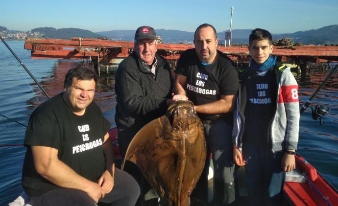 Pulpos colosales salen a flote en las Rías Baixas