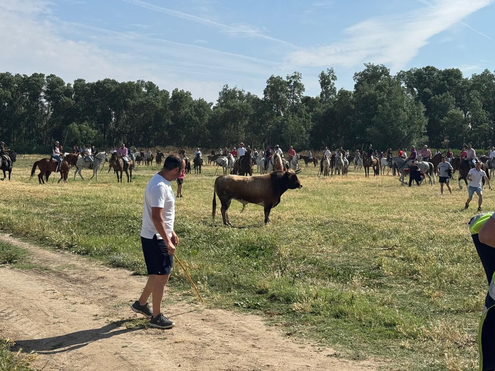 GALERÍA | Encierro bajo el bochorno en Vadillo de la Guareña