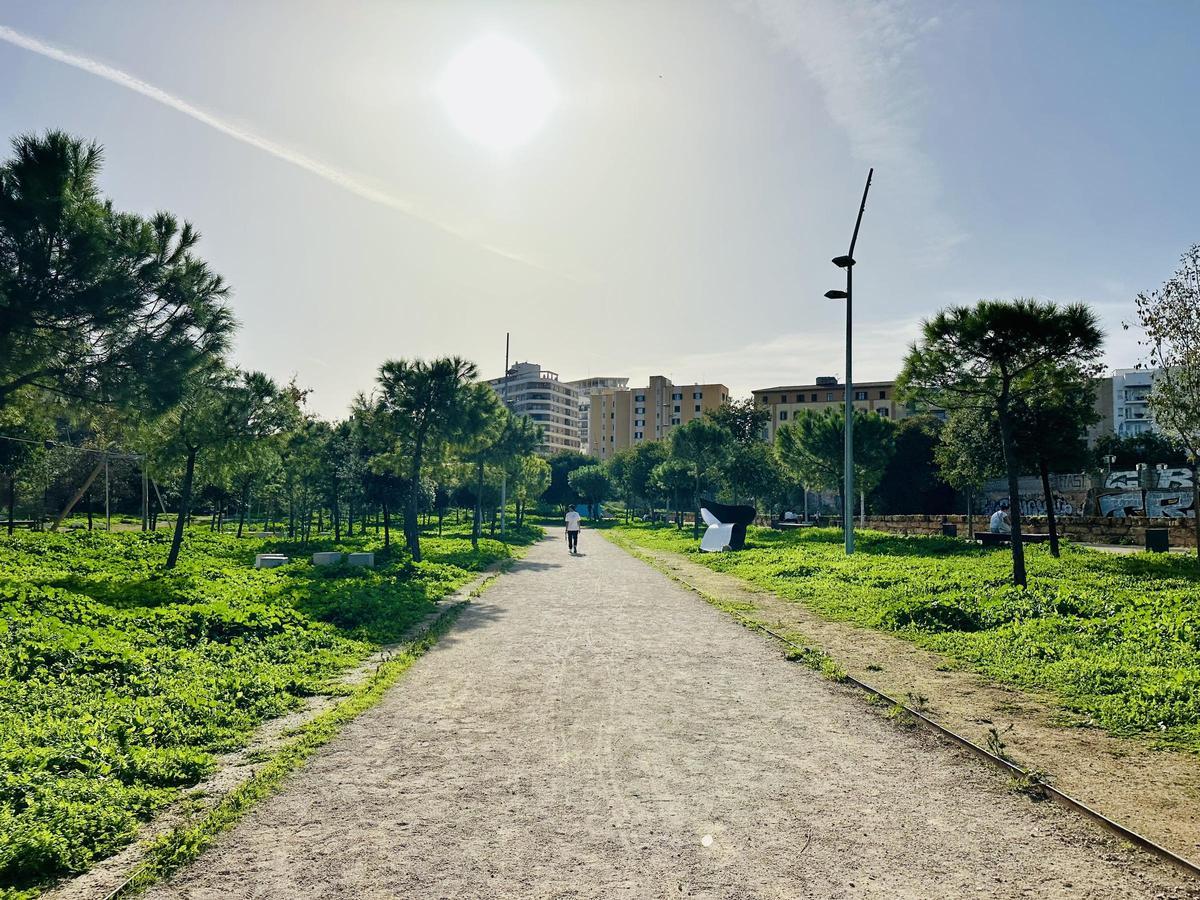 Tagsüber scheint derzeit viel die Sonne.