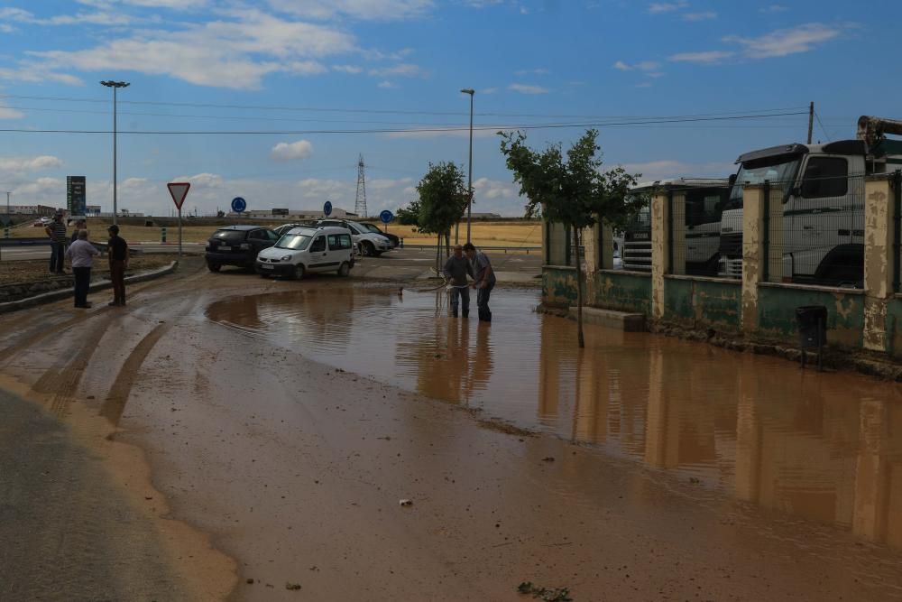 Las imágenes de Roales del Pan, el día después de la tormenta