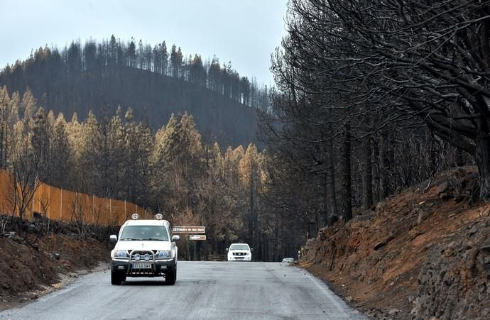 INCENDIO CUMBRE GRAN CANARIA