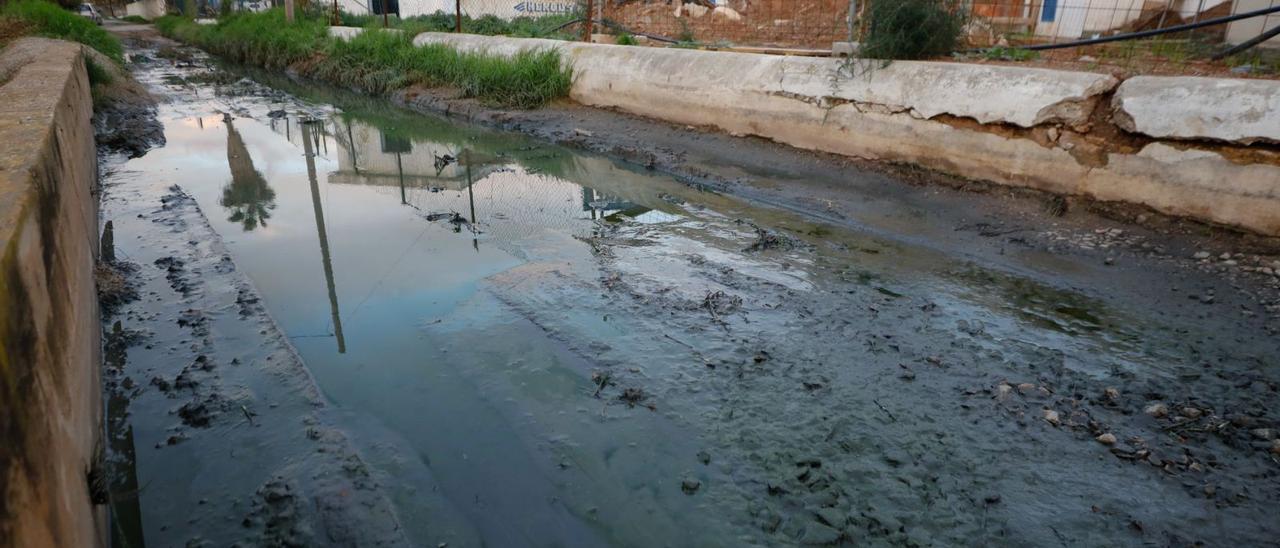 El torrente de sa Llavanera con vertidos fecales, ayer.