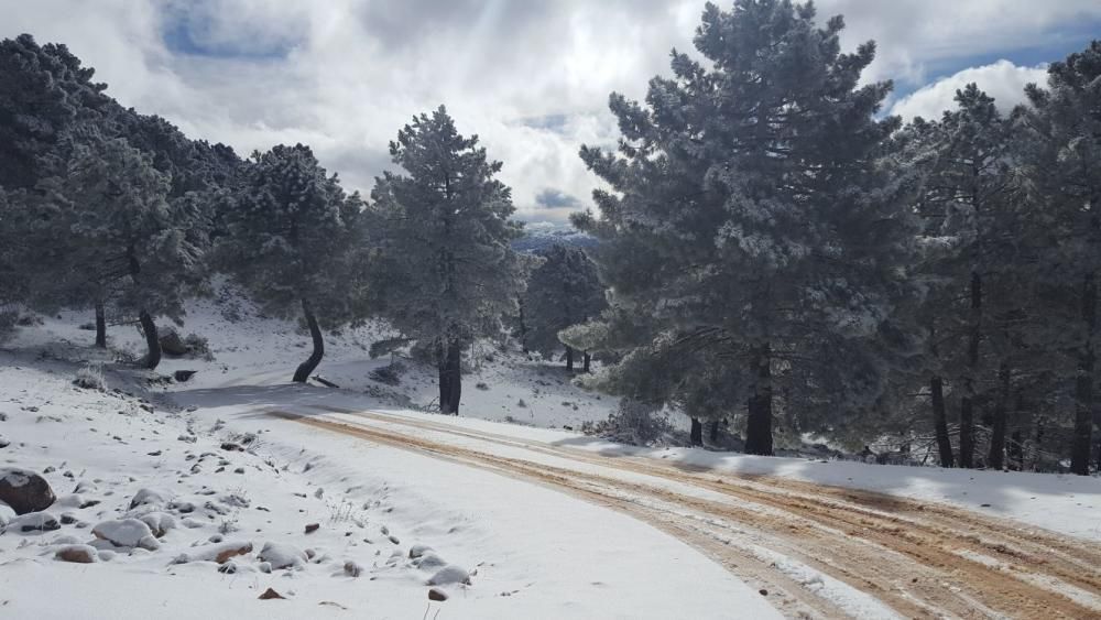 Nieve en Calar de la Santa, Moratalla