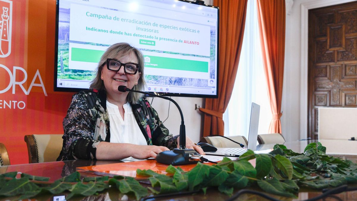 concejala de Fondos Europeospresenta La aplicación informática para facilitar la participación de la ciudadanía en la localización e identificación del Ailanto.