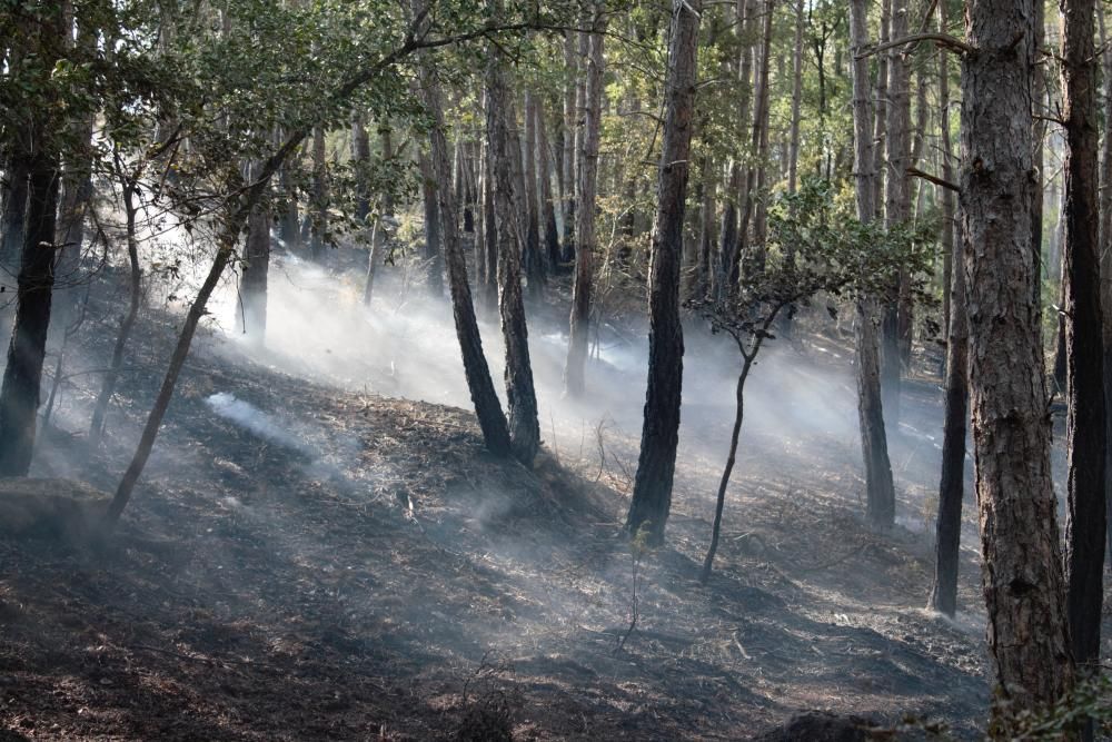 Incendi agrícola a Olius, al Solsonès