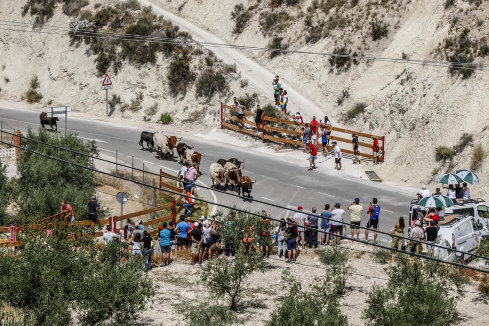 "Entrà de les Vaques" de Tibi