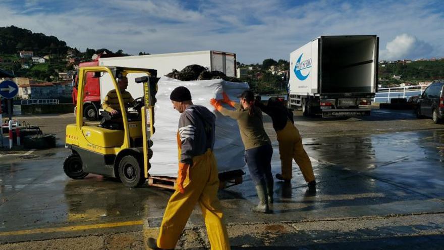 Una maniobra ayer para cargar un palé de mejillón en el puerto de Bueu. |   // S.Á.