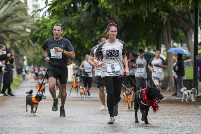 PRIMERA CARRERA SOLIDARIA PERRO-AMO