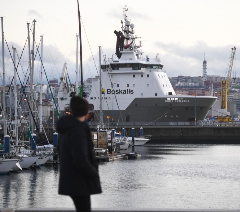 El Boka Pegasus, en A Coruña, ayudará al Blue Star