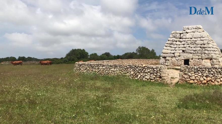 Empieza la restauración de la Naveta des Tudons tras el ataque con pintadas