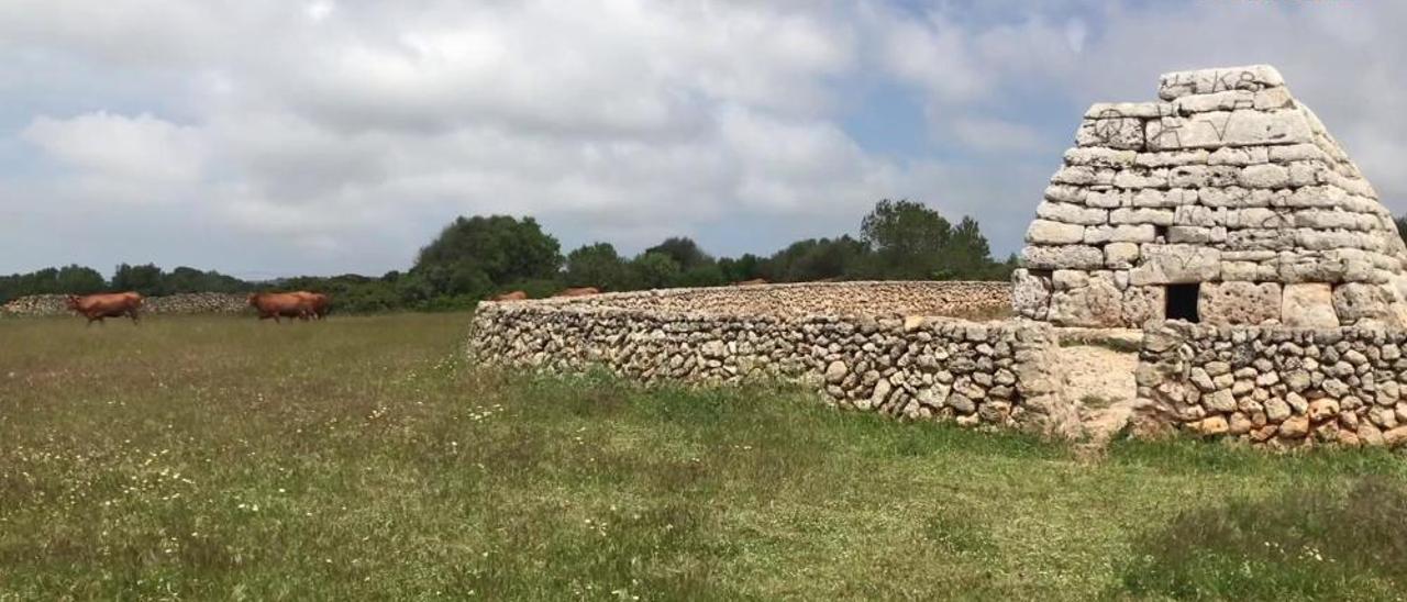 Empieza la restauración de la Naveta des Tudons tras el ataque con pintadas