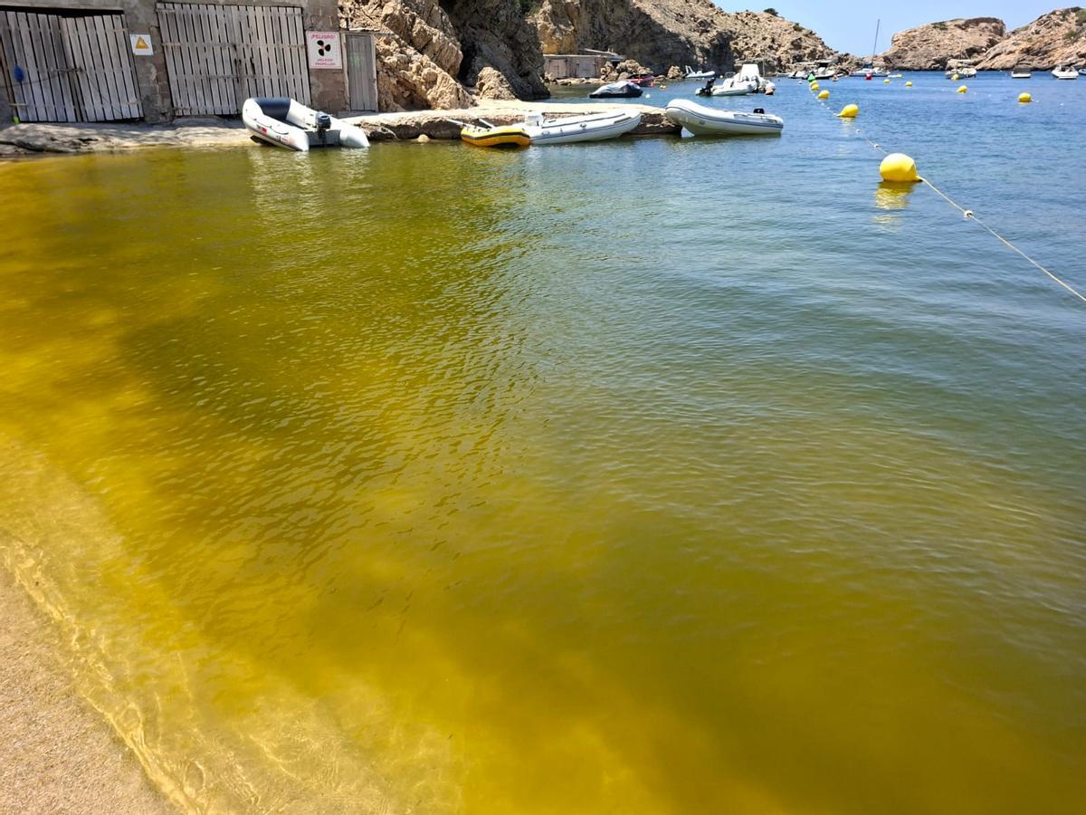 Sant Josep aún espera la autorización para evitar manchas de microalgas en tres playas