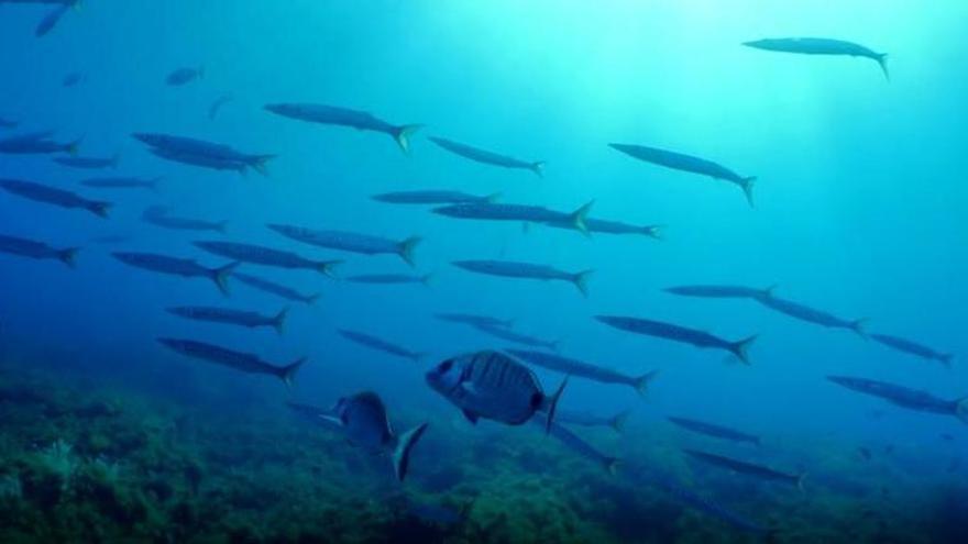 El mar Balear más caliente desde 1940 allanó las últimas lluvias torrenciales en el Mediterráneo