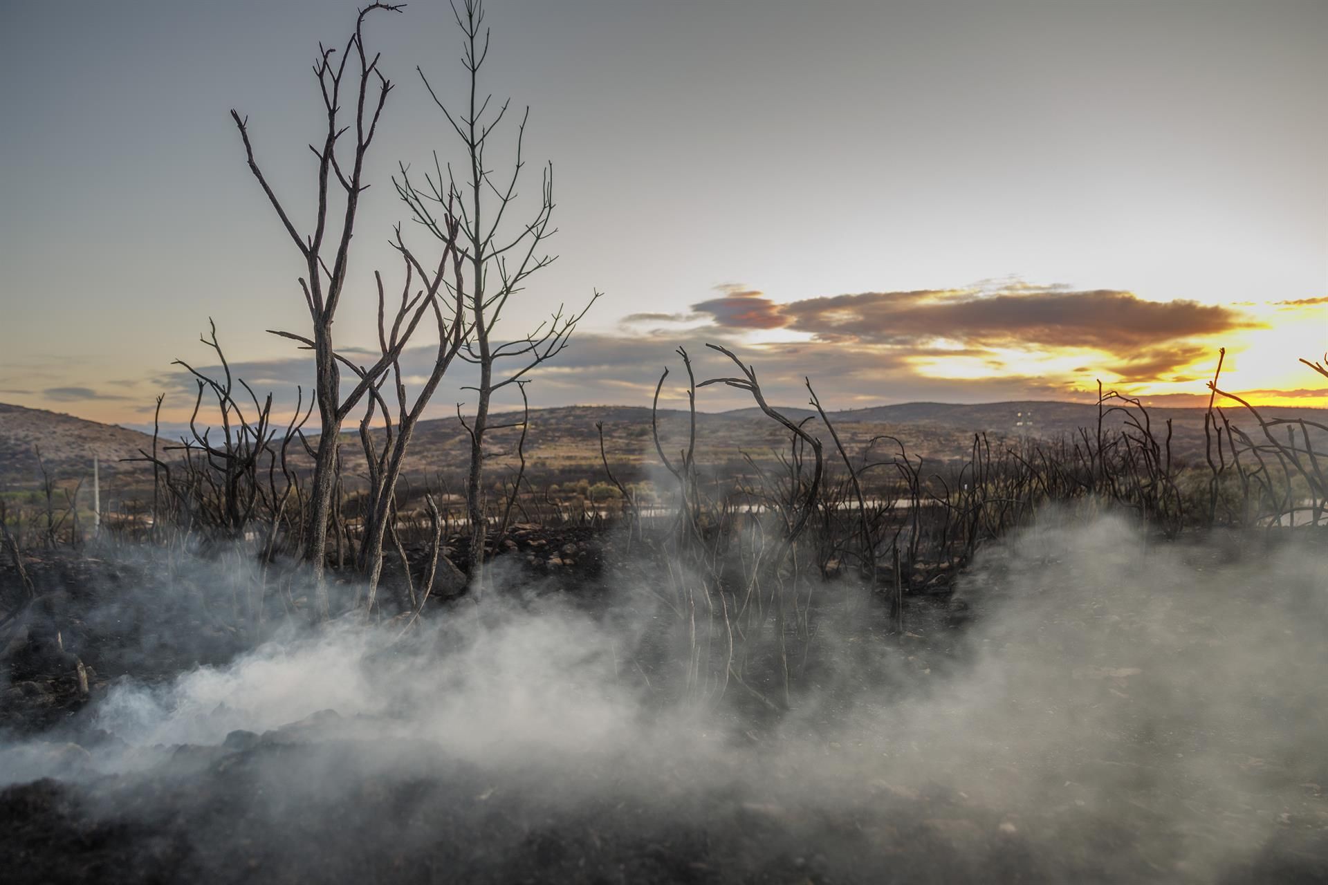 Las imágenes más impactantes del incendio en Bejís