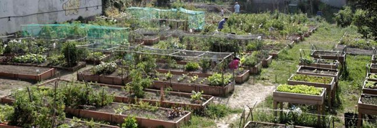Un oasis ecológico en medio de la ciudad