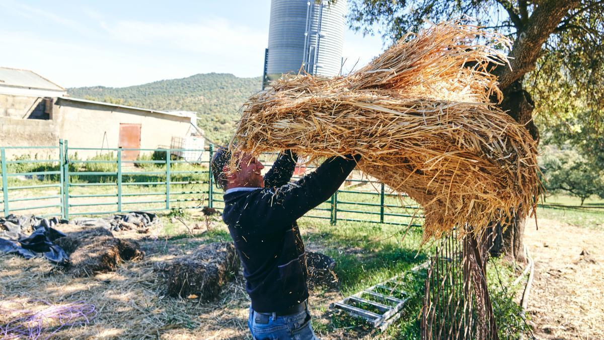 Las noticias de Extremadura: Los titulares del día que no debes perderte hoy, 27 de abril