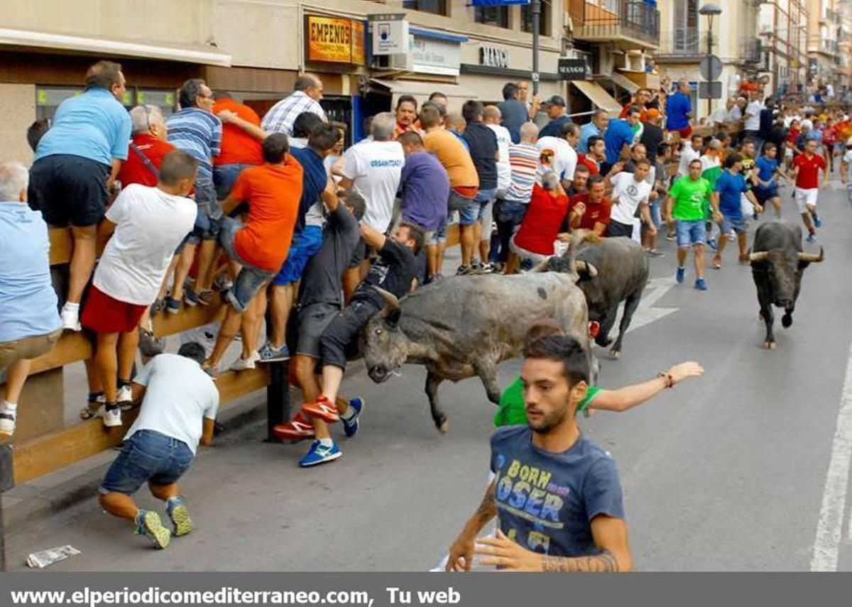 GALERÍA DE FOTOS -- Encierro de vértigo en la Vall d’Uixó GALERÍA DE FOTOS -- Encierro de vértigo en la Vall d’Uixó