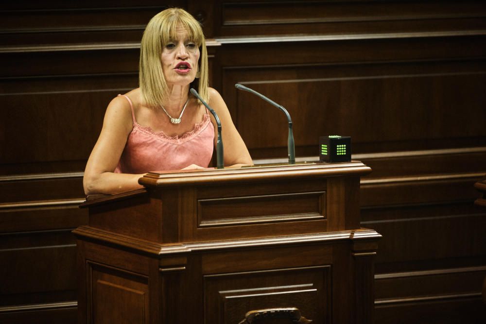 Primer pleno de la legislatura canaria