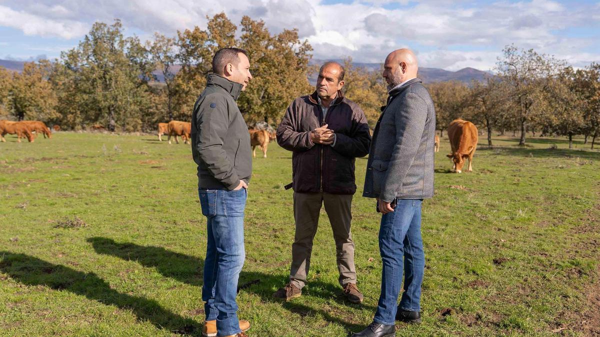 Visita del portavoz nacional de Vox de Trabajo y Campo, Rodrigo Alonso, junto al candidato de este partido a la Presidencia de la Junta, Óscar Fernández, a una explotación en Tejeda de Tiétar