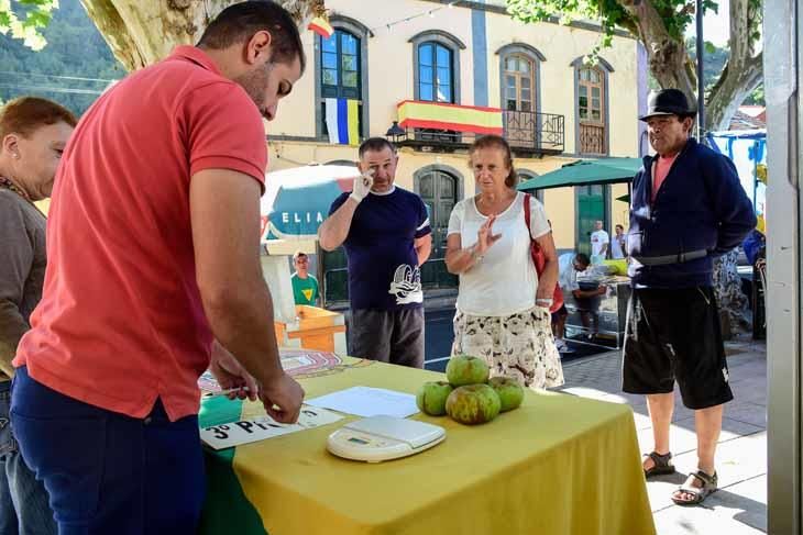 Fiesta de la manzana de Valleseco