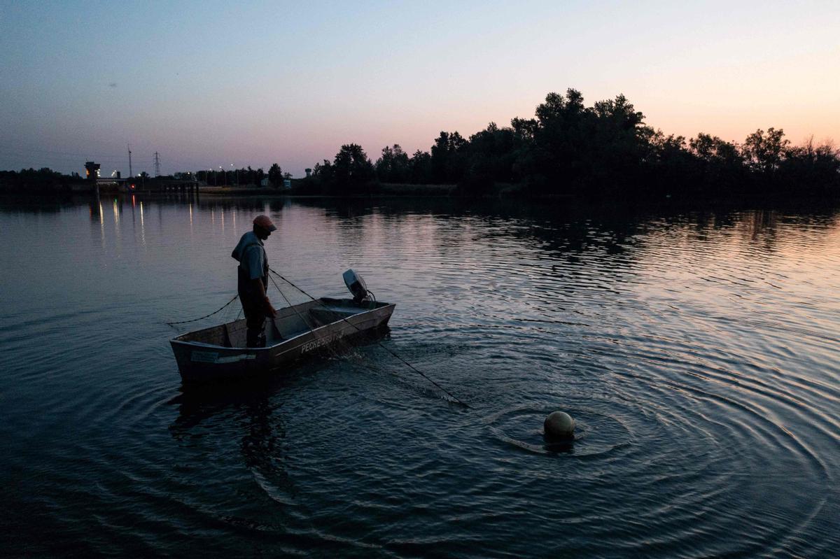 Jeremy Fuchs, el único pescador profesional del río Rin