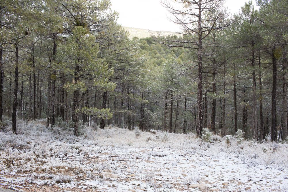 Primeras nieves en la Región