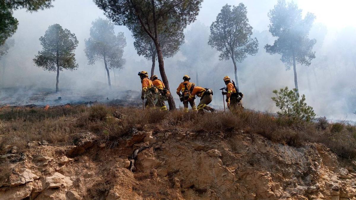 Cinco bomberos trabajan en la extinción del incendio en la Cresta del Gallo, en Murcia.