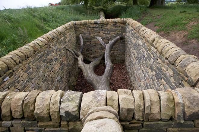 Hanging Trees, Andy Goldsworthy