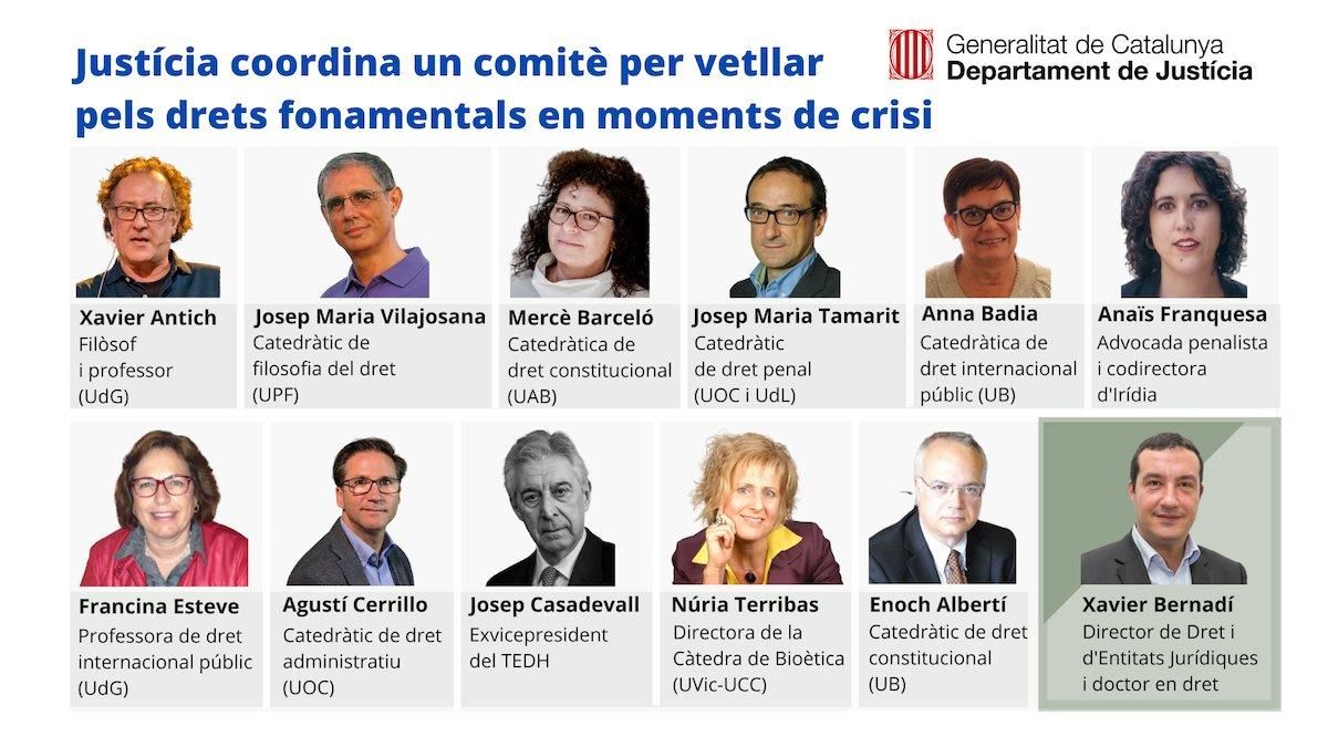 infografia-comite infografia-comite